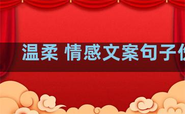 温柔 情感文案句子伤感